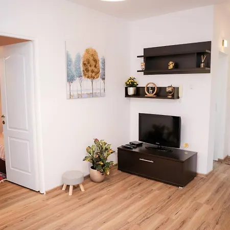아파트 Comfort Hub Near Recovery Clinic 클루지나포카