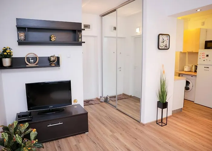 Апартаменти Comfort Hub Near Recovery Clinic Клуж-Напока